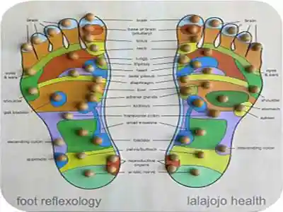 foot-reflexology-lamai foot-reflexology-lamai